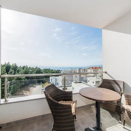 International Radic *