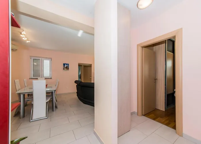 International Radic *