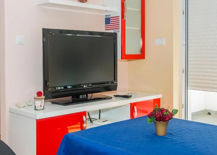 International Radic *