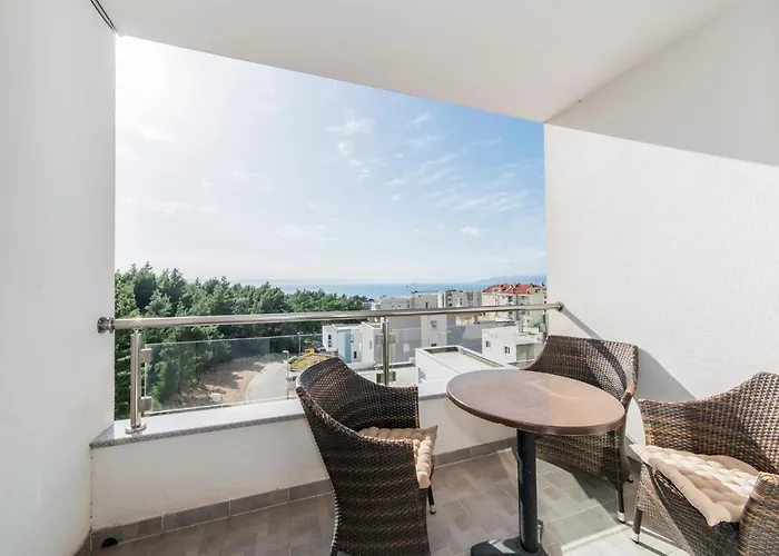 International Radic *